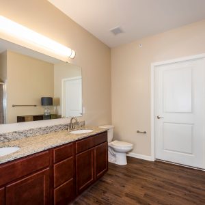 Model unit bathroom