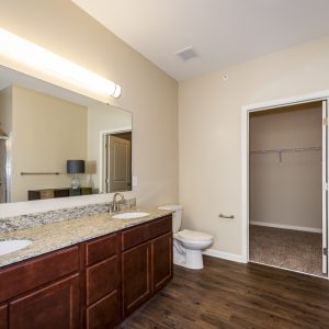 Model unit bathroom